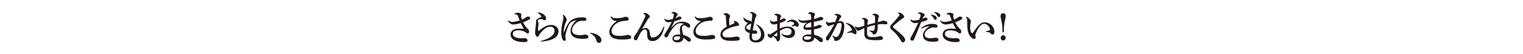 さらに、こんなこともおまかせください